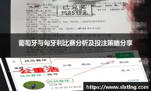 葡萄牙与匈牙利比赛分析及投注策略分享